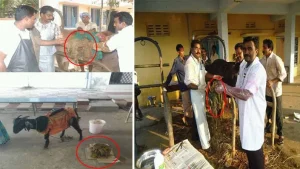 Plastic playing with dumb creatures .... Shocked to see the operation..!