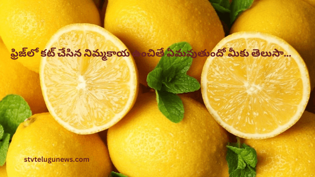 Sliced lemons stored in a refrigerator to preserve freshness.